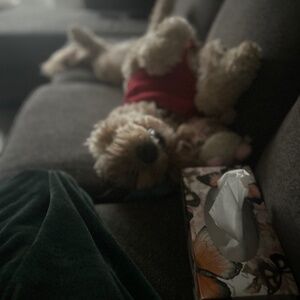 Meet your Posher, Abby